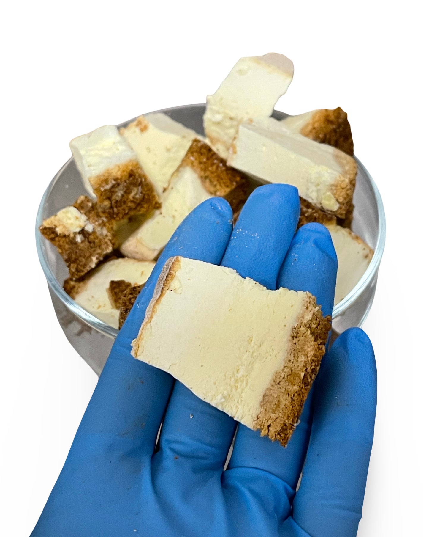 CHEESECAKE BITES - KETO NY Style [Sugar Free]