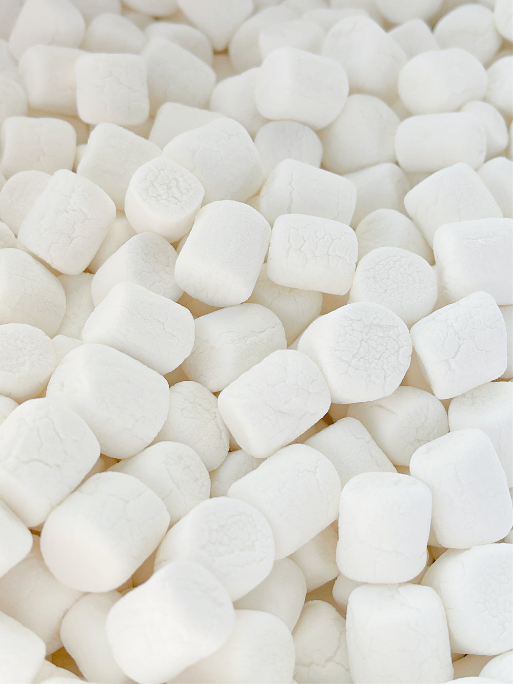 Freeze Dried Mini Vanilla Marshmallows by Tahoe Treats