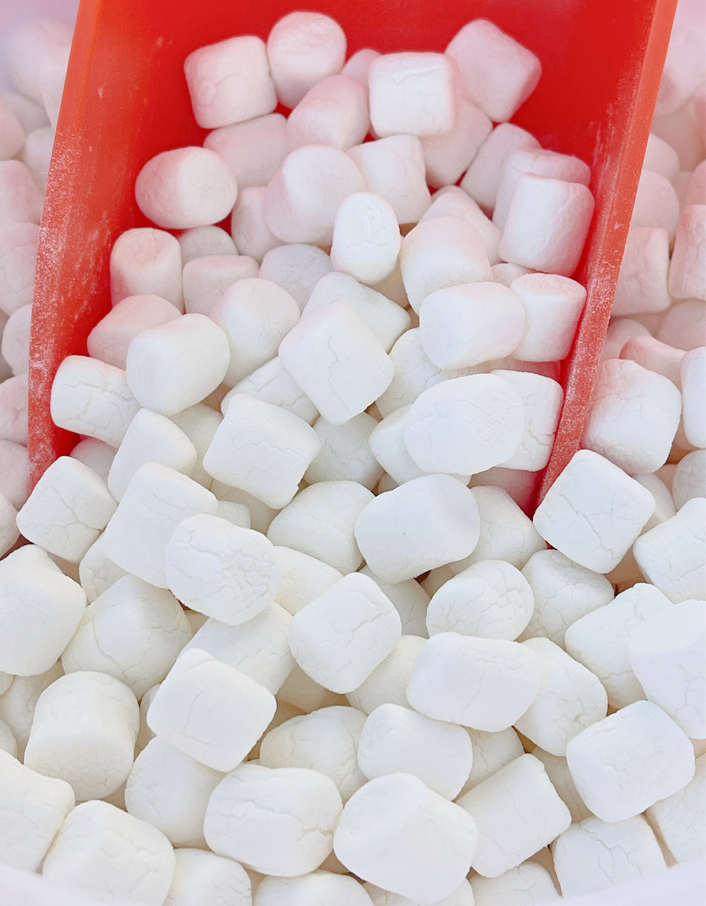 Freeze Dried Mini Vanilla Marshmallows, photo 3