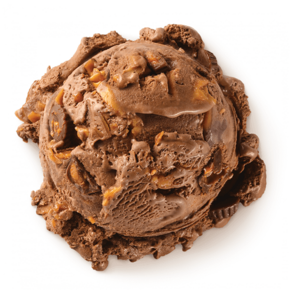 Freeze Dried Chocolate Peanut Butter Cup Ice Cream, photo 2
